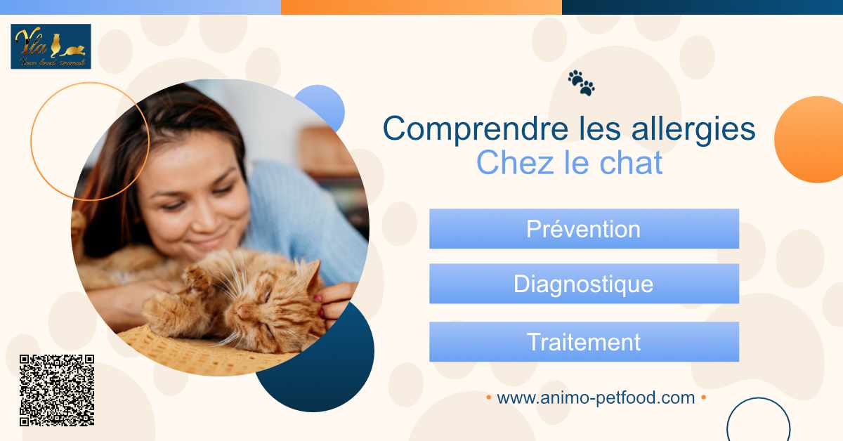 comprendre-les-allergies-chez-les-chats-prevention-diagnostic-et-traitement